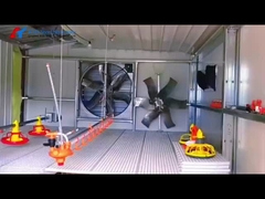 Automatic Equipment for Poultry House, Layers and Broilers