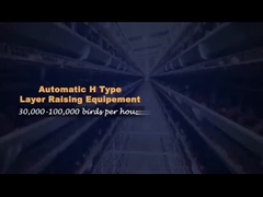 H Type with Subtitles