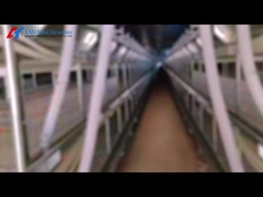 Cage Feeding for Layers