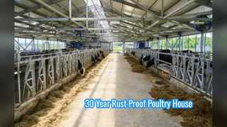 Durable Hot Dip Galvanized Steel Poultry House Solutions