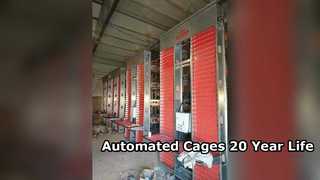 Automated Layer Cages 20 Year Lifespan