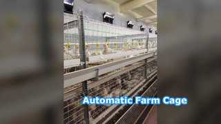 Agrieso Automatic Chicken Cage Farm System