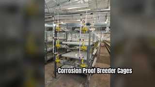 Galvanized Breeder Cages Last Longer