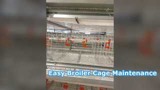 Automatic Broiler Cage Easy Maintenance