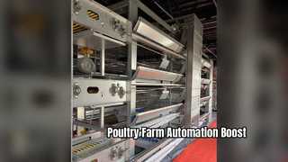 Fabryczny system automatyzacji fermy drobiu
