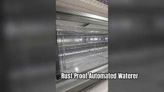 Wholesale Cascaded Pullet Cage | Automatic Egg Collection Layer Cage | Automated Poultry Equipment
